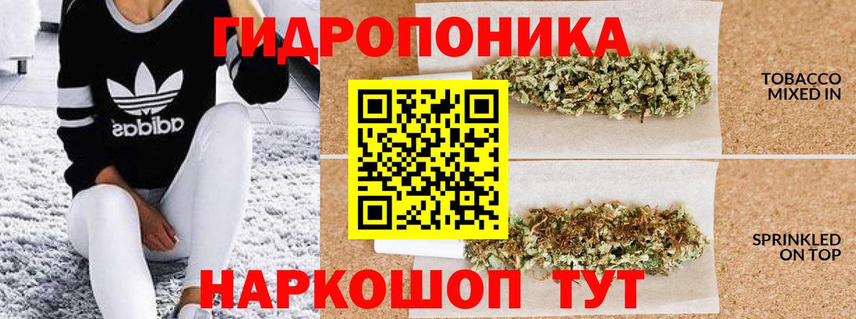 Бошки марихуана OG Kush Заринск